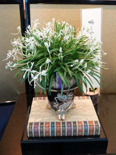富貴蘭展